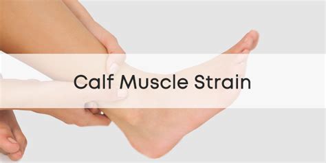 Calf Muscle Strain Injury Guide | PhysioRoom Injury Advice