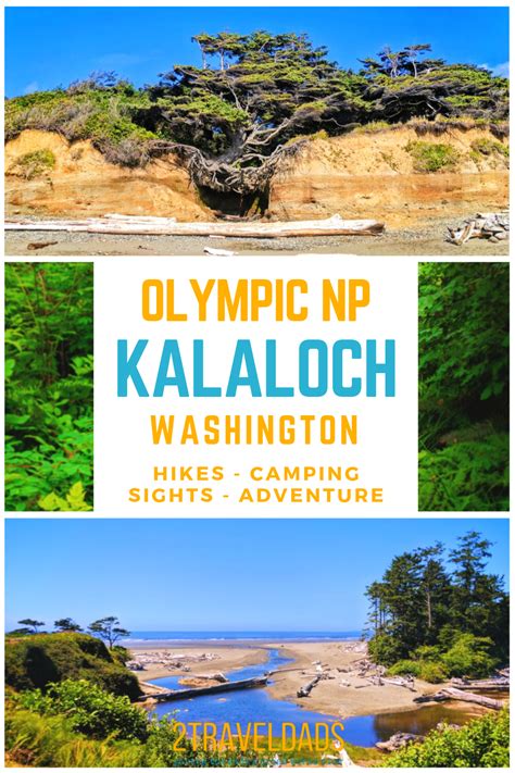 Camping at Kalaloch and exploring Olympic National Park - 2TravelDads | National parks, Olympic ...