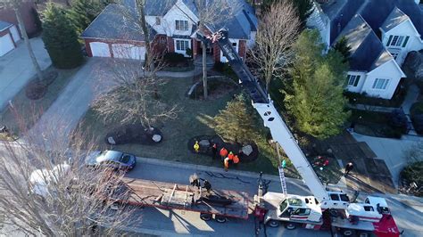 Tree Shrub & Stump Removal | Brownsburg, IN | Brownsburg Tree Care