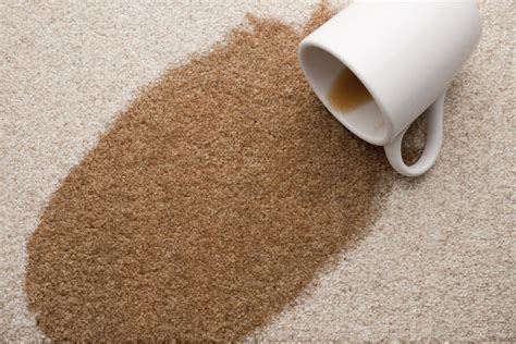 How to Remove Coffee Stains From Carpet