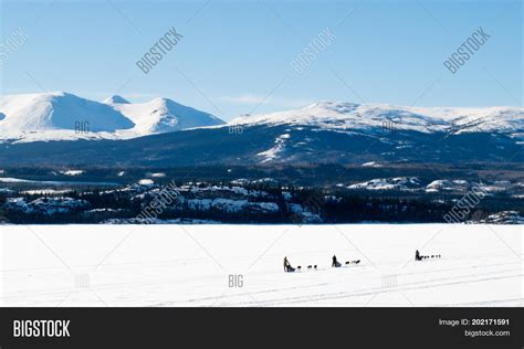 Sled Dog Musher On Image & Photo (Free Trial) | Bigstock