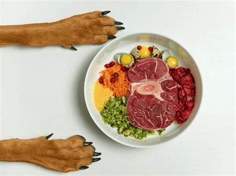 Comida natural para perros, ¿cuál es la mejor opción? - Gosbi Pet Food