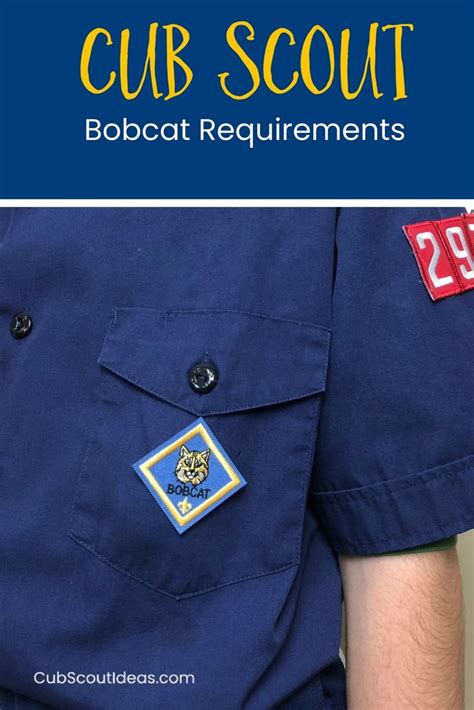 Cub Scout Bobcat Requirements With Free Printable