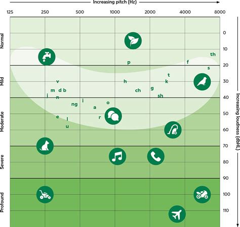 Understanding an audiogram | Specsavers Australia