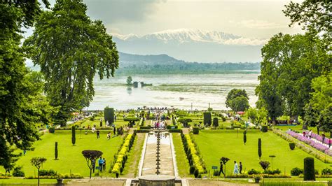 6 Must-Visit Gardens In Srinagar, Kashmir | Travel | Zee Zest