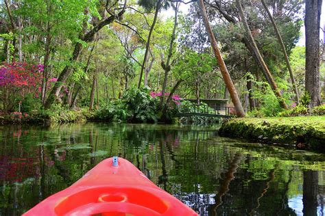 Kayaking Homosassa River Photograph by David Lee Thompson - Fine Art ...