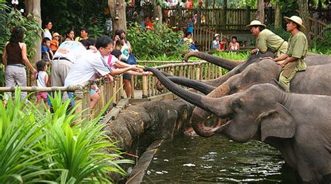 Medan Zoo, The Right Place For Family Tour