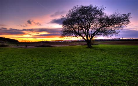 fondos de pantalla de la naturaleza