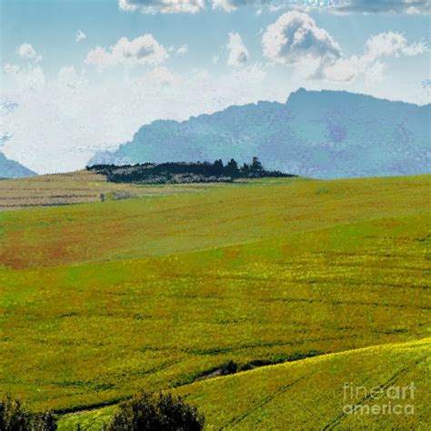 Rolling Hills Landscape Painting by D Tao - Fine Art America