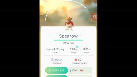 Spearow - Pokémon GO Brasil