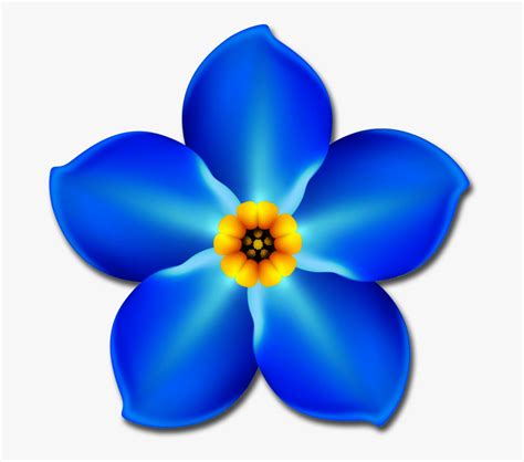 Forget Me Not Flower Png , Free Transparent Clipart - ClipartKey