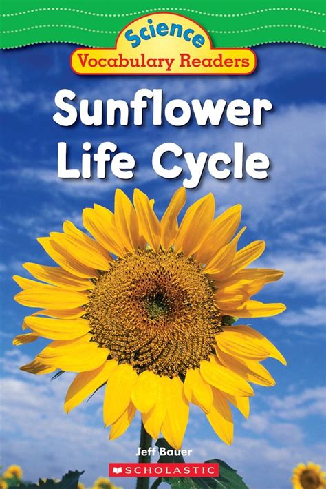 In this book, learn how sunflowers grow. | Sunflower life cycle ...