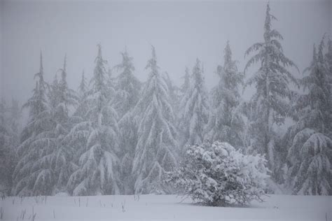 10 gorgeous photos of Israel blanketed in white - ISRAEL21c