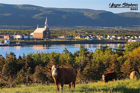 Cheticamp from Cheticamp island. Good moo-rning : r/NovaScotia