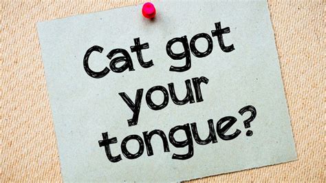 "Cat Got Your Tongue” - The Origin of the Phrase | Lyfepyle