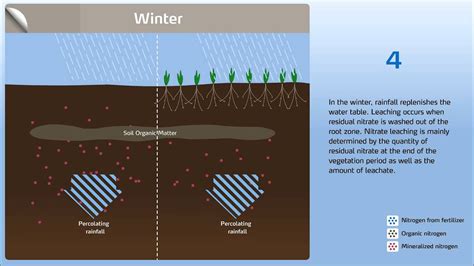 How to control nitrogen leaching in the soil (Part 1) - YouTube