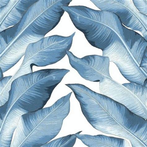 NV5543 | Blue & White Beverly Hills Large Banana Leaf Wallpaper