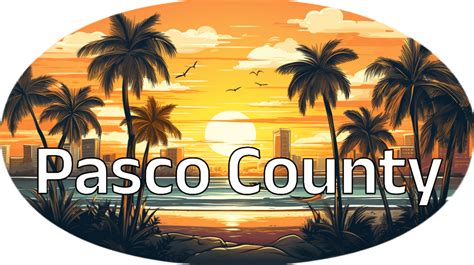 Pasco County, Fl - City Data, History + Tips [Upd. 2024]