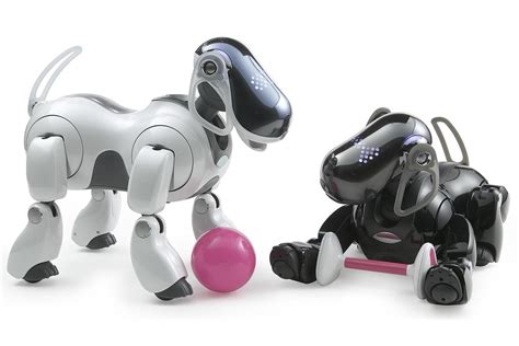 A new kind of mortality: Sony’s Aibo robotic dogs are slowly, painfully ...