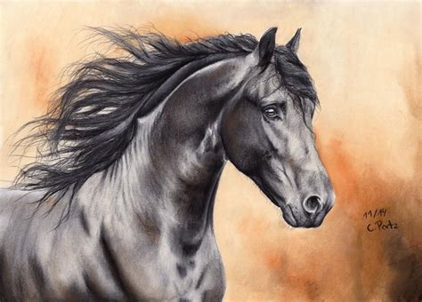 Friesian Horse IV Reupload by ManiaAdun on DeviantArt | Horses ...