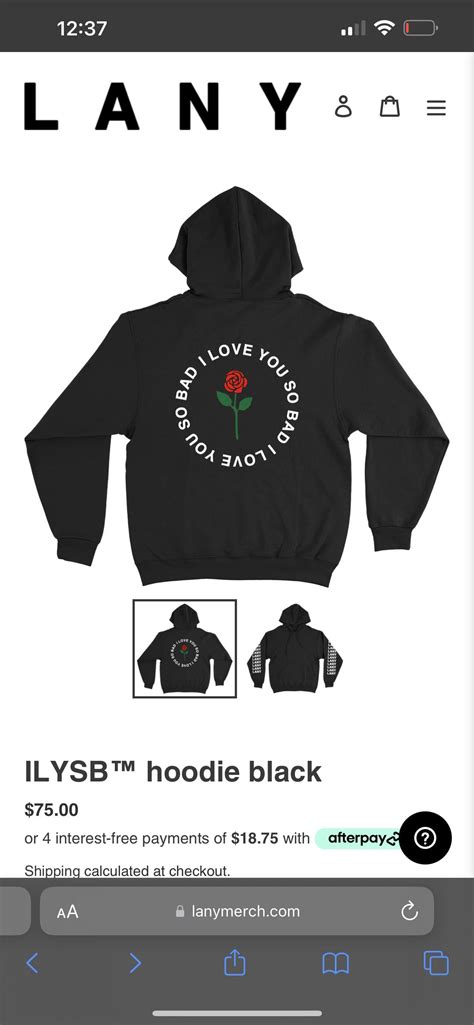 Is this new merch or a throwback??? : r/LANY