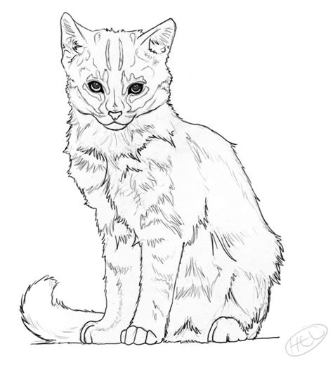 Realistic Kitten Drawing at GetDrawings | Free download