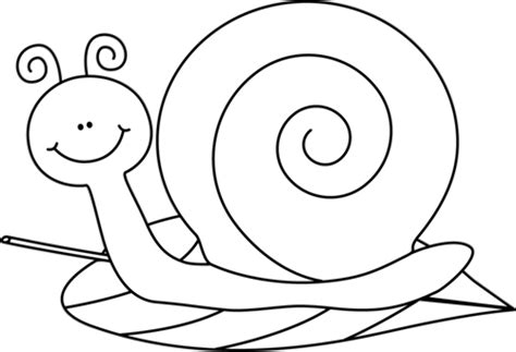 Download High Quality snail clipart outline Transparent PNG Images - Art Prim clip arts 2019