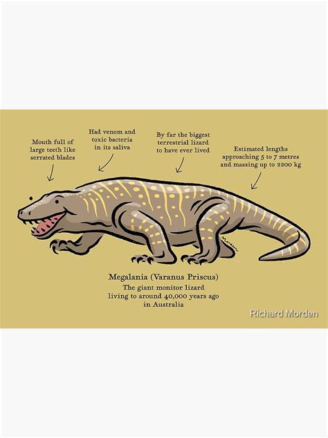 "Megalania the prehistoric giant lizard" Poster by morden | Redbubble