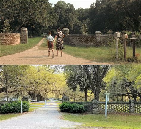 Forrest Gump Filming Locations in South Carolina's Lowcountry