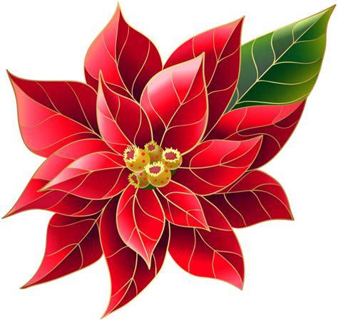 Xmas Poinsettia PNG Clip Art | Christmas drawing, Christmas art ...