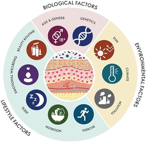 10 Factors that Affect Skin Aging - Livara Natural Organics