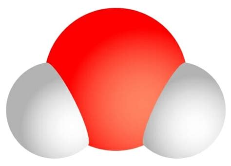 Universal Solvent - Definition and Characteristics | Biology Dictionary