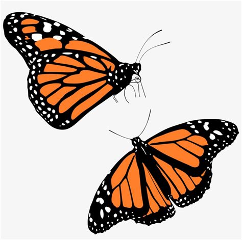 Monarch Butterflies Icons Png - Transparent Background Monarch Butterfly Clipart Transparent PNG ...