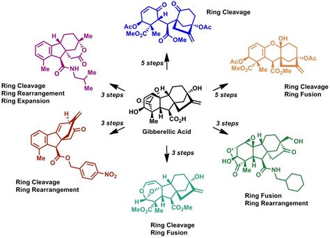 Complex Molecule Synthesis – Hergenrother Lab