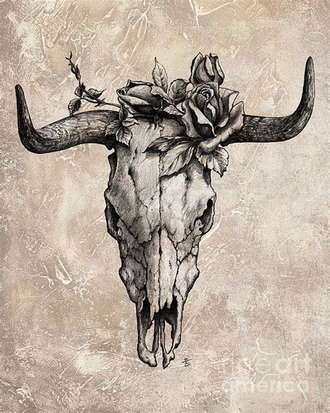 Longhorn Skull Drawing at PaintingValley.com | Explore collection of ...