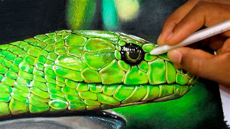 How to Draw a Realistic Snake | Time Lapse - YouTube