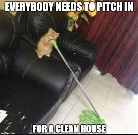 Funny Memes 2024 Cleaning - Druci Ernestine