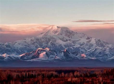 A picture of Mt. Denali at sunrise by Ed Boudreau. | Alaska travel, Alaska northern lights, Alaska