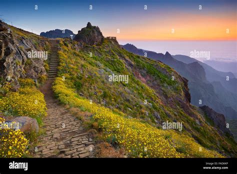 Pico Mountain Aerial Highest Mountain In Portugal