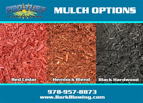 Mulch Information | Pro-Turf Bark Blowing