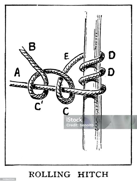 Rolling Hitch Knot Stock Illustration - Download Image Now - 19th ...