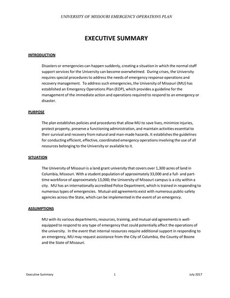 Summary - 19+ Examples, Format, How to Separate, Pdf, Tips