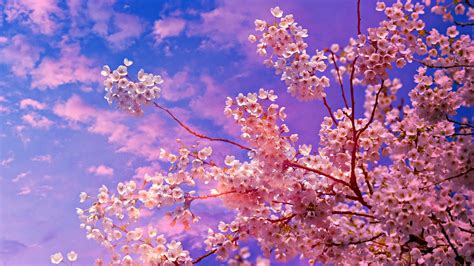 Cherry Blossom Trees Wallpapers - Wallpaper Cave