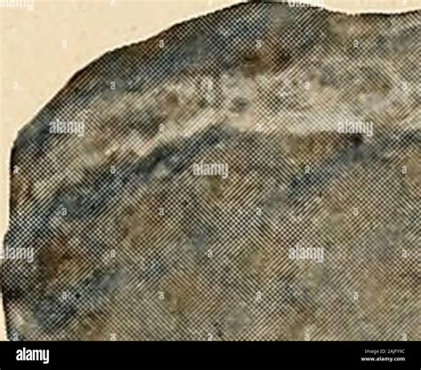 Servius tullius wall hi-res stock photography and images - Alamy