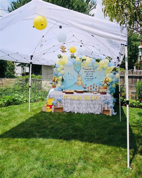 Winnie the Pooh backdrop | Boy baby shower themes, Baby shower deco, Baby girl shower themes