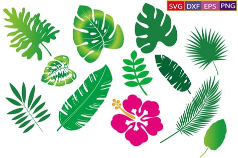 Tropical Leaves Svg,tropical Leaves Png Graphic by Dev Teching · Creative Fabrica
