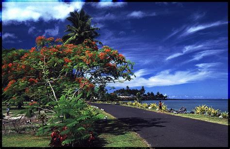 Pin on 2016 Apia, Samoa