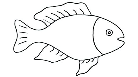 Fish Drawing Images | Free download on ClipArtMag