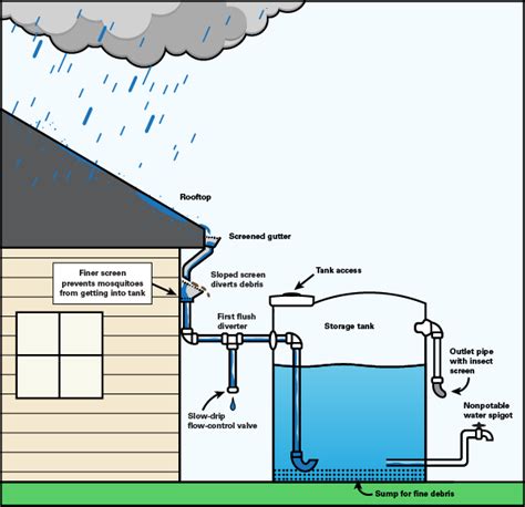 Best Practice For Maintaining RWH