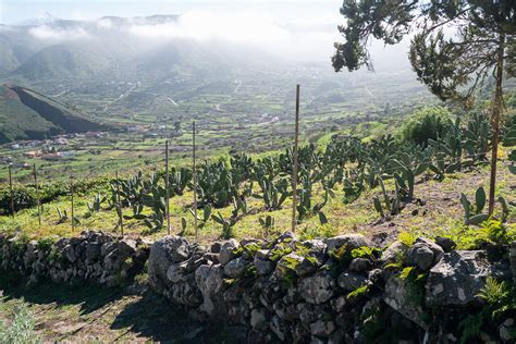 10 Of The Best Hikes In The Canary Islands • Indie Traveller